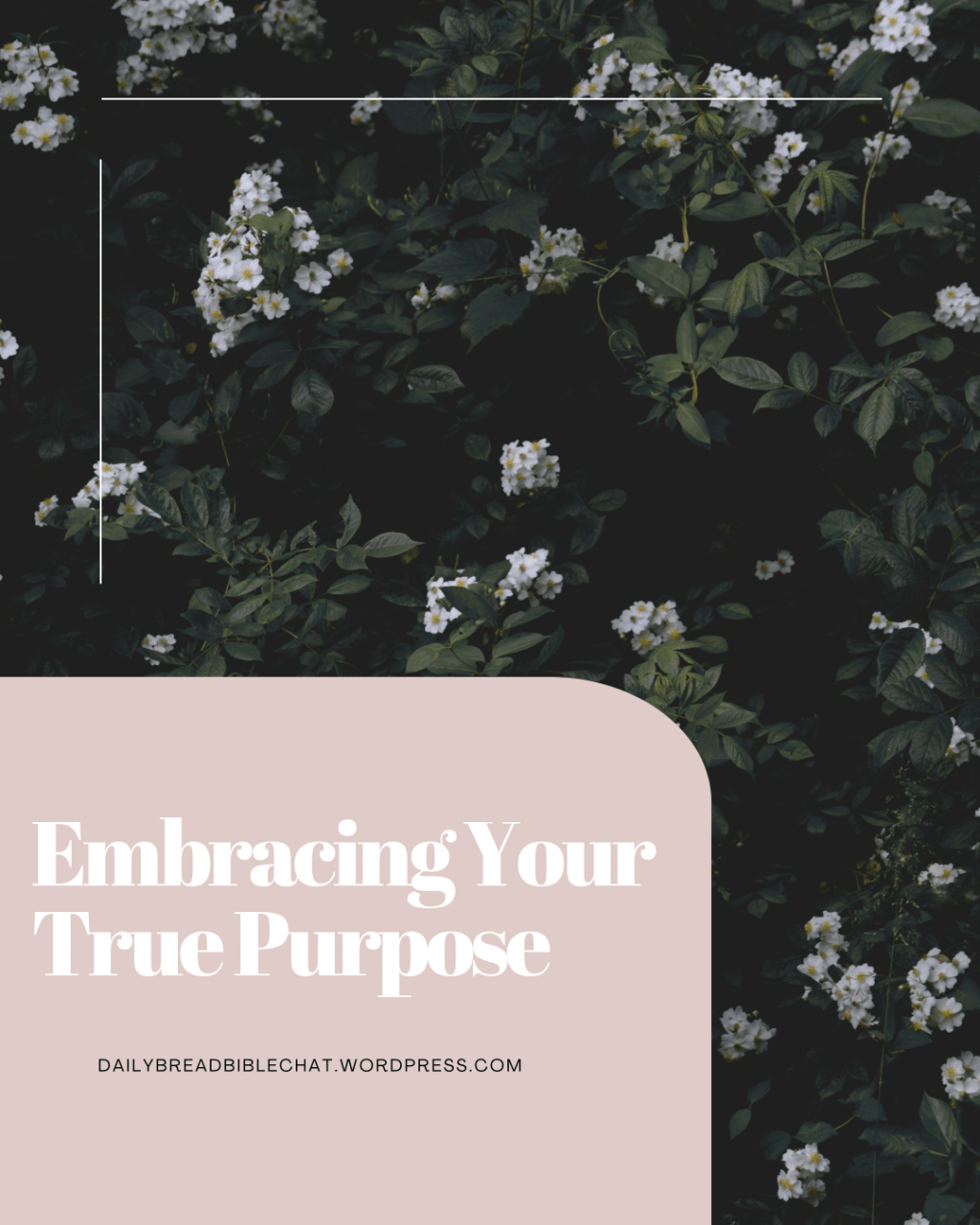 Embracing Your True Purpose: A Guide to Christian Living for&nbsp;Women