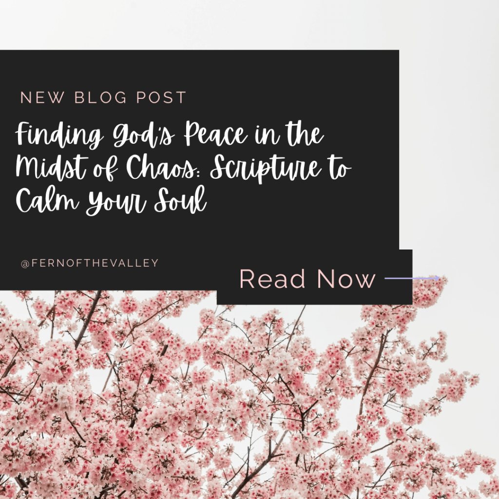 Finding God’s Peace in the Midst of Chaos: Scripture to Calm Your&nbsp;Soul