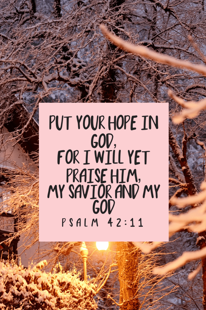 Psalm 42:11 Bible verse graphic: “Put your hope in God, for I will yet praise Him, my Savior and my God” in handwritten font on pink overlay, set against a peaceful winter sunrise with snow-covered trees and warm golden light – ideal for Christian anxiety relief, hope encouragement, and faith wallpapers.