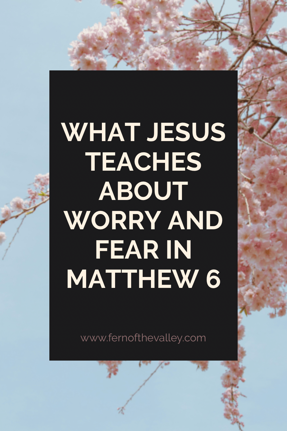 What Jesus Teaches About Worry and Fear in Matthew&nbsp;6