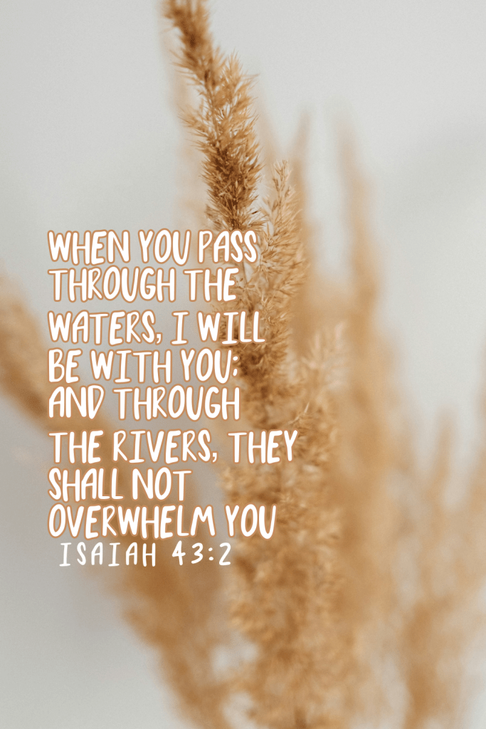 Handwritten Bible verse from Isaiah 43:2 on a serene pampas grass background: “When you pass through the waters, I will be with you; and through the rivers, they shall not overwhelm you.” Comfort in Psalm 23:4 During Dark Valleys