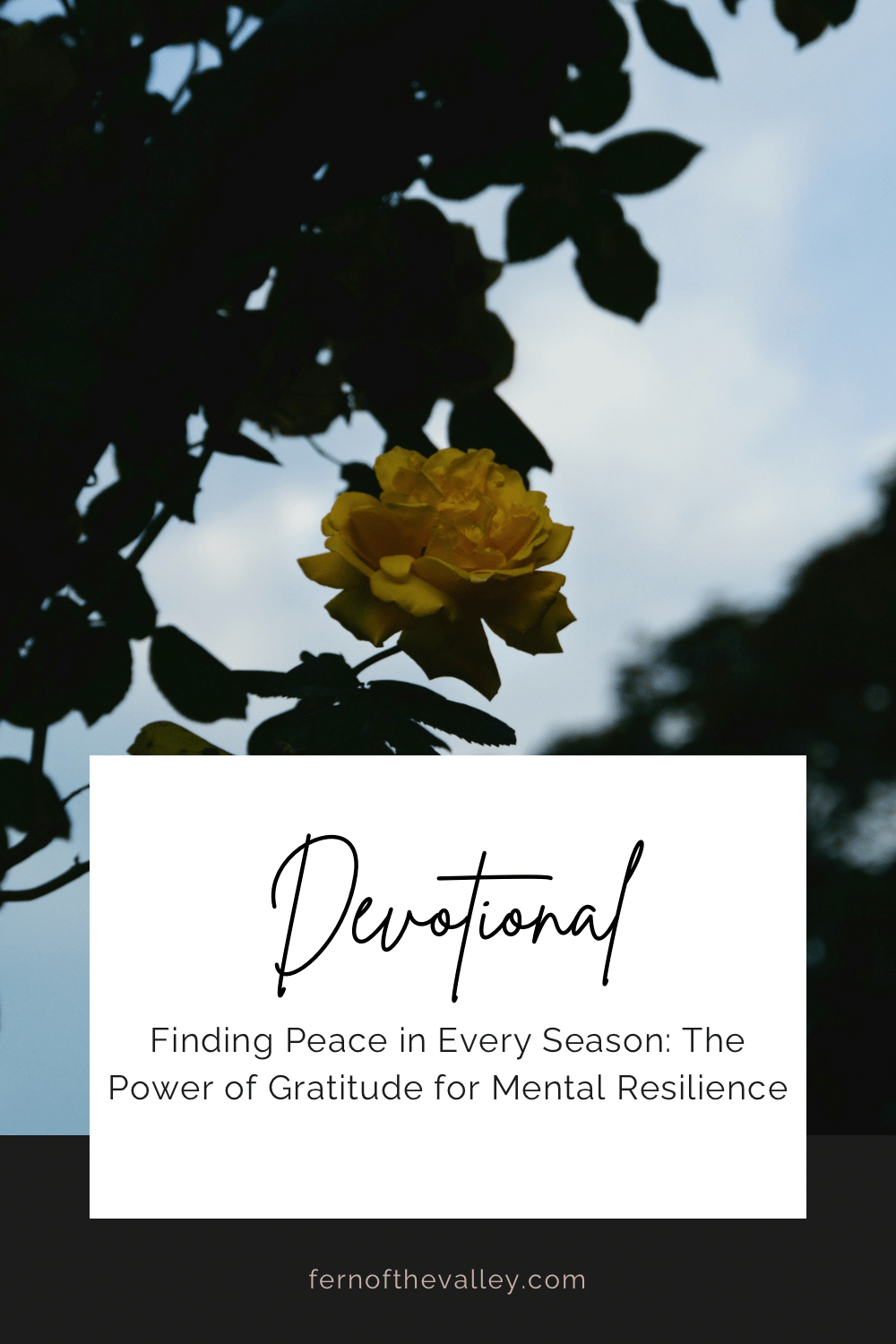 Finding Peace in Every Season: The Power of Gratitude for Mental&nbsp;Resilience